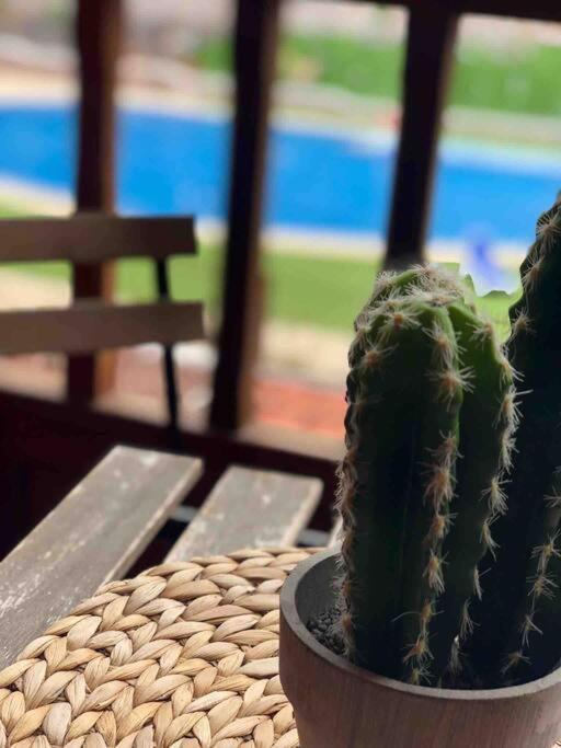 Coqueto Apartamento En Arona El Palm-Mar. エクステリア 写真